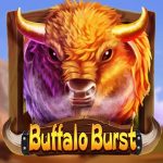 QT_DRGS_BuffaloBurst@2x